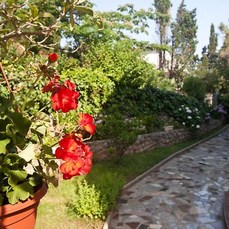 كرك Bed & Breakfast Mario المظهر الخارجي الصورة