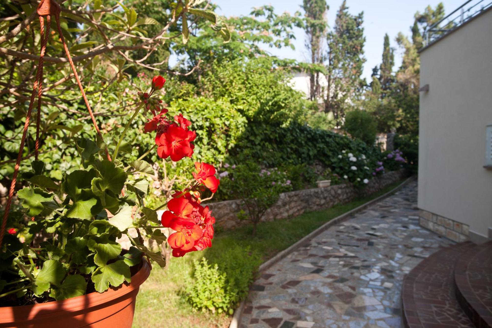 كرك Bed & Breakfast Mario المظهر الخارجي الصورة